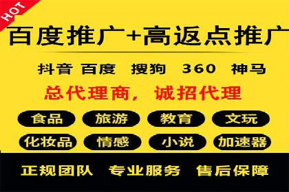 抖音信息流广告在电商行业的应用案例